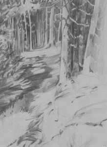 Cathedral Woods Sketch